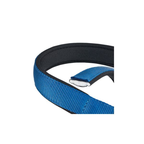 TUPI S A COLLAR PARA PERRO FERPLAST DAYTONA 25 45 AZUL