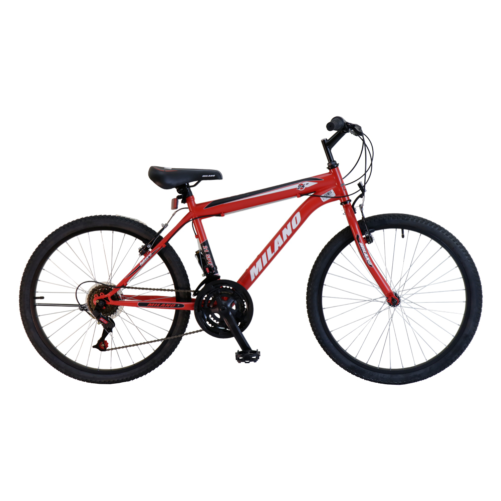 TUPI S.A. BICI MILANO ARO 24