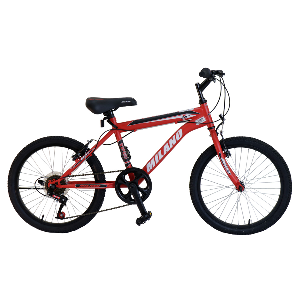 Bicicleta aro 2024 20 edad