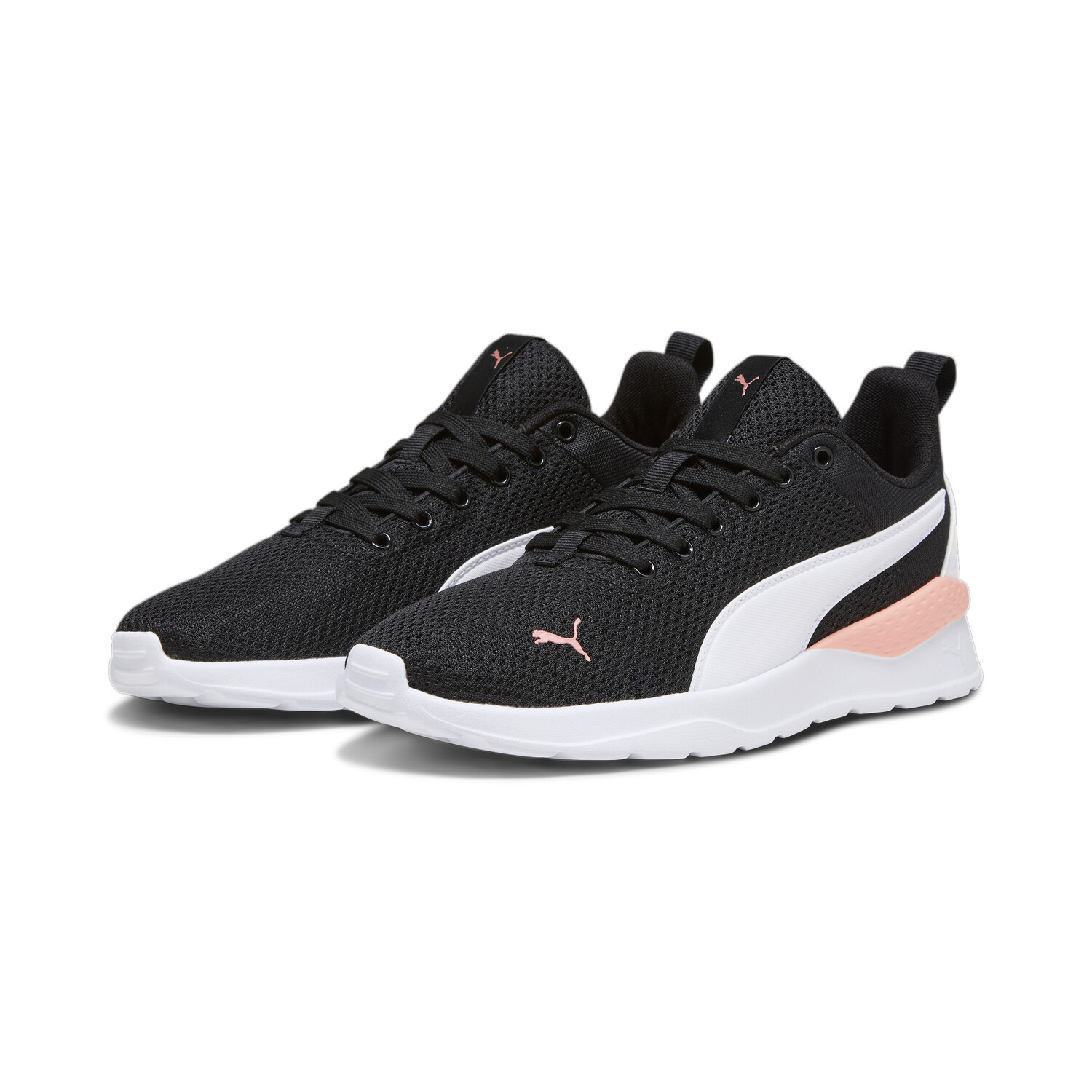 Puma negro paraguay hotsell