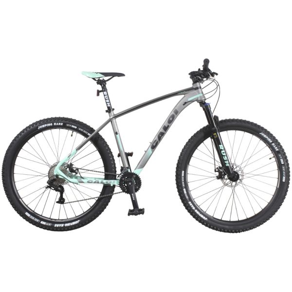 BICI CALOI ARO 29