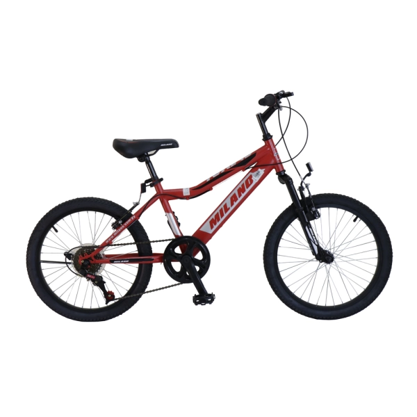 Bicicleta best sale aro edad