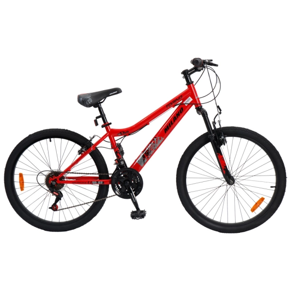 TUPI S.A. BICI MILANO ARO 24