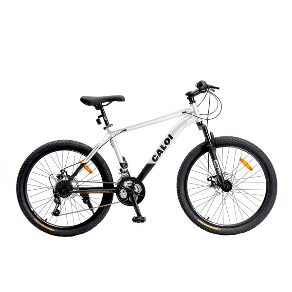 BICI CALOI RIDER SPORT 24